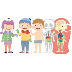 APRENDE EL CUERPO HUMANO -CLEM-